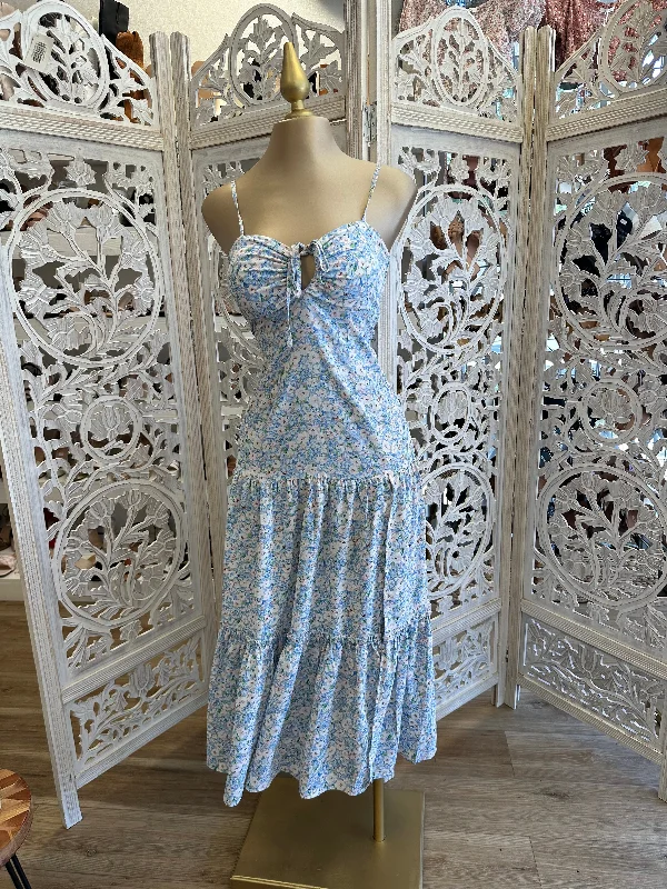 Empire Waist Women Dress to Accentuate the Bust and Conceal the WaistBlue Floral Maxi Dress